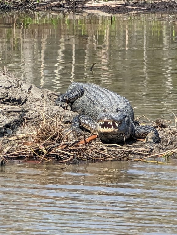 Jean Lafitte National Historical Park