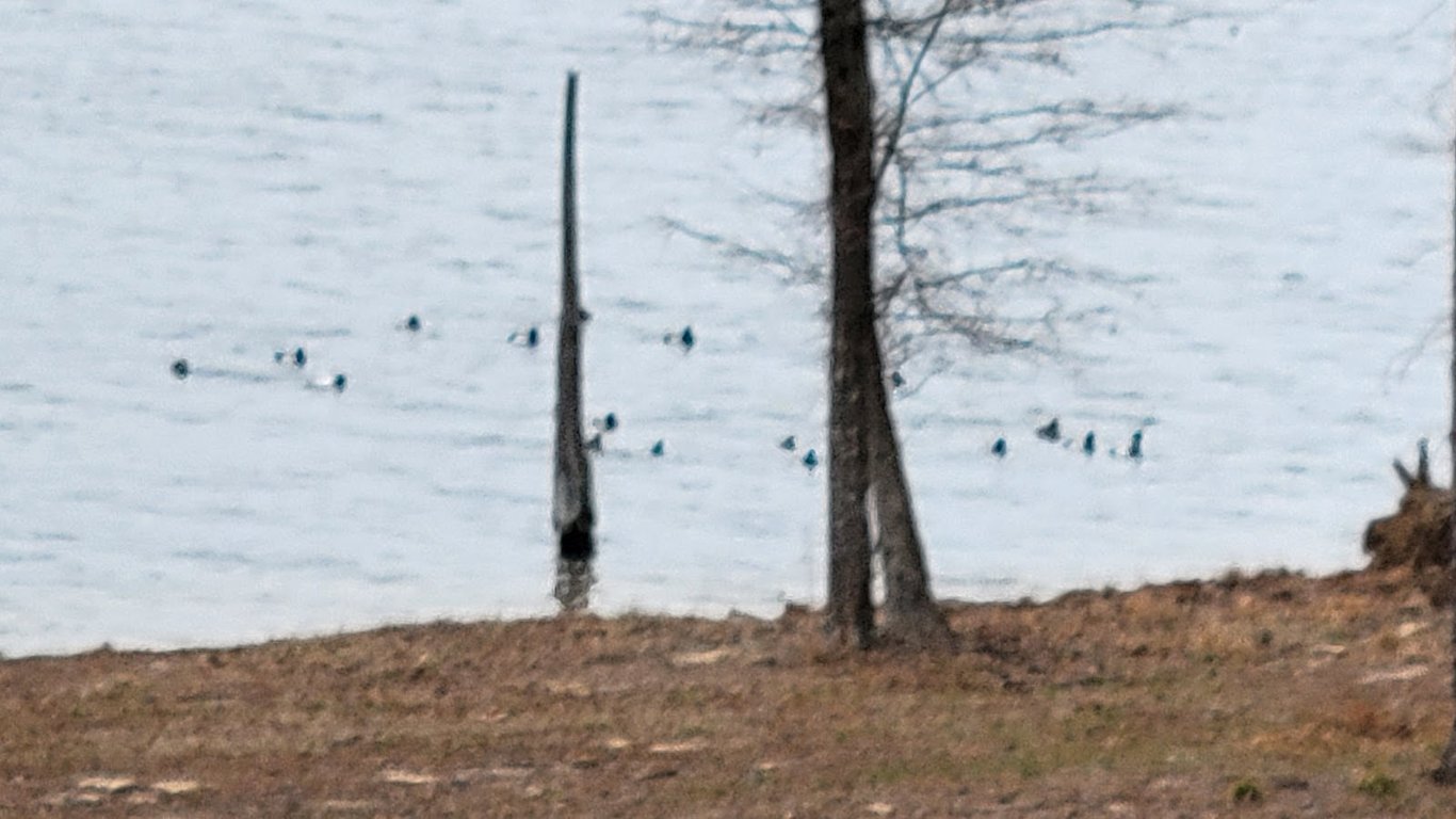 Jimmie Davis State Park