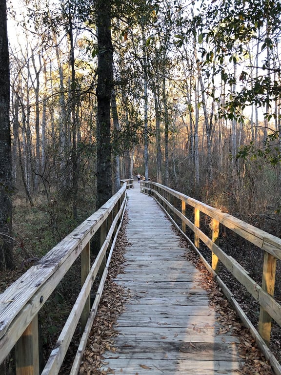 Kiroli Park