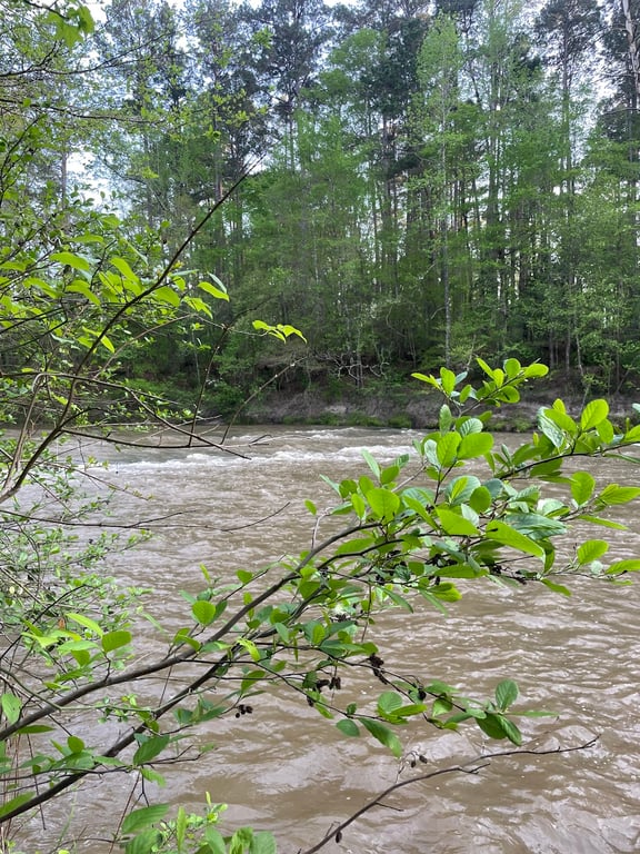 Kisatchie Bayou Recreation Area