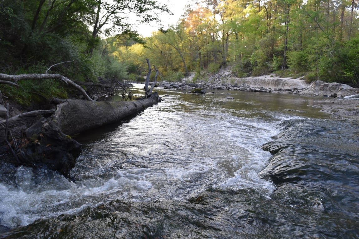 Kisatchie Bayou Recreation Area