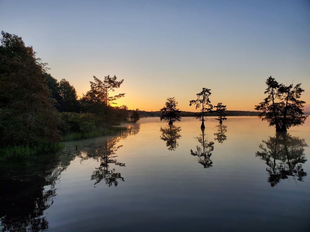 Lake D’Arbonne State Park