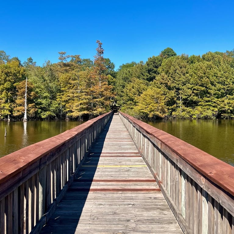 Lake D’Arbonne State Park