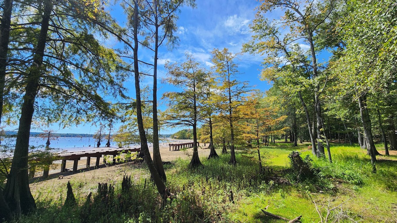 Lake D’Arbonne State Park