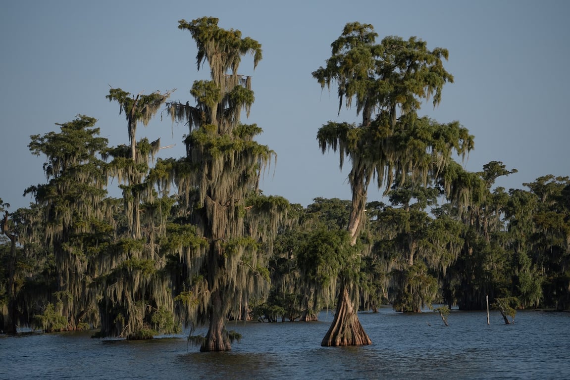 Lake Martin & Cypress Island
