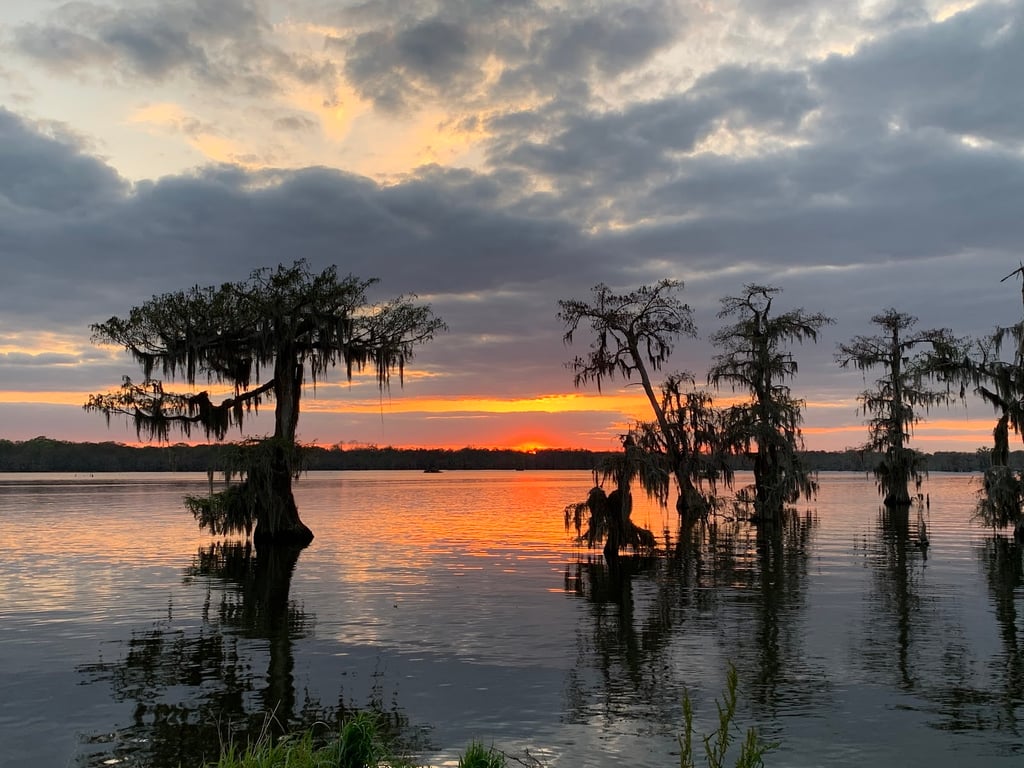 Lake Martin & Cypress Island