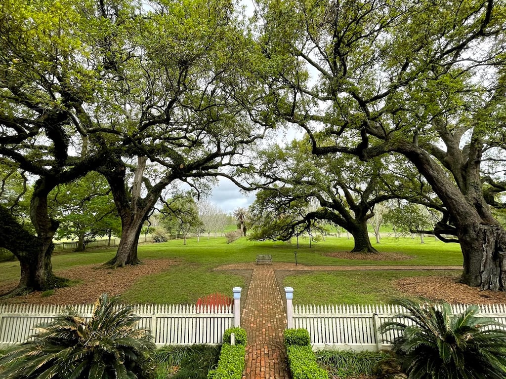 Laura Plantation