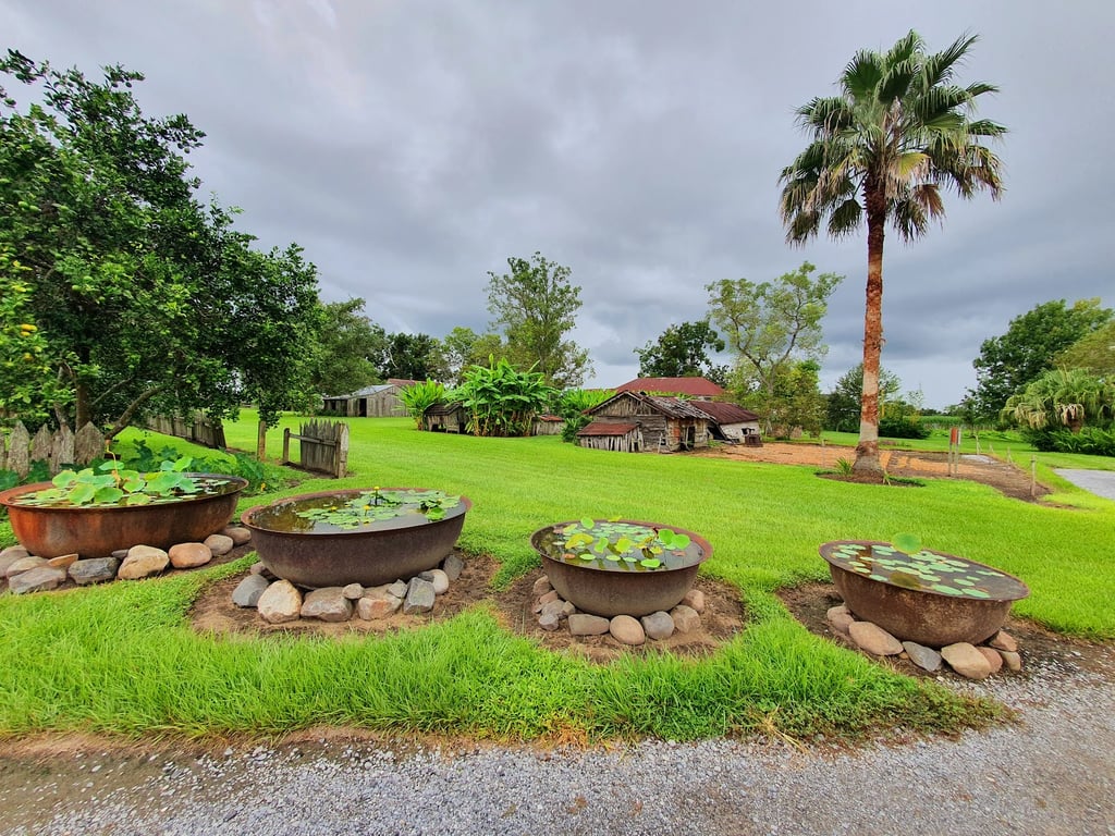 Laura Plantation