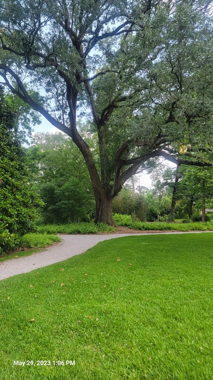 LSU Hilltop Arboretum