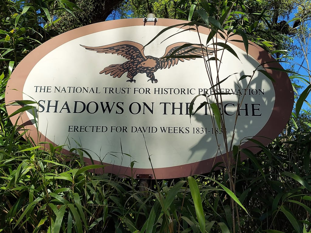 Shadows-on-the-Teche