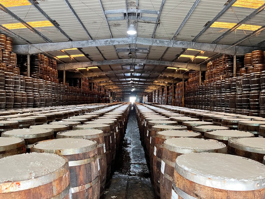 Tabasco Factory & Pepper Fields