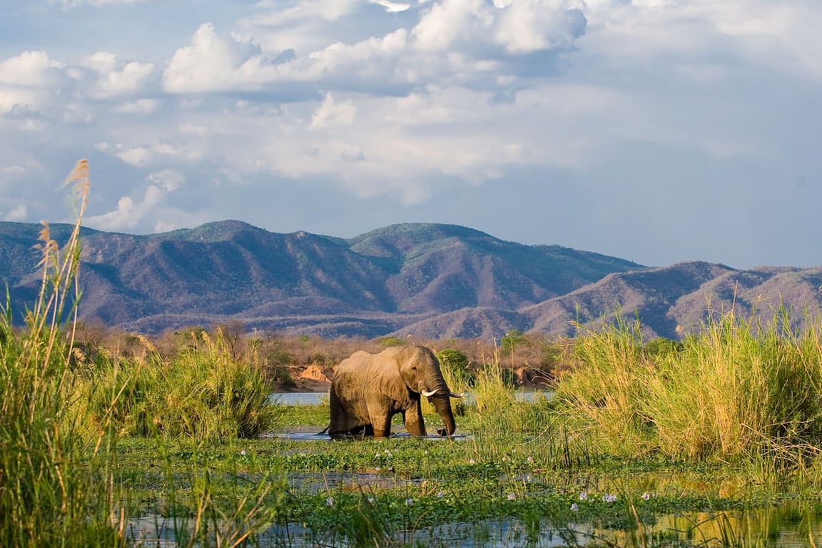 Lower Zambezi National Park