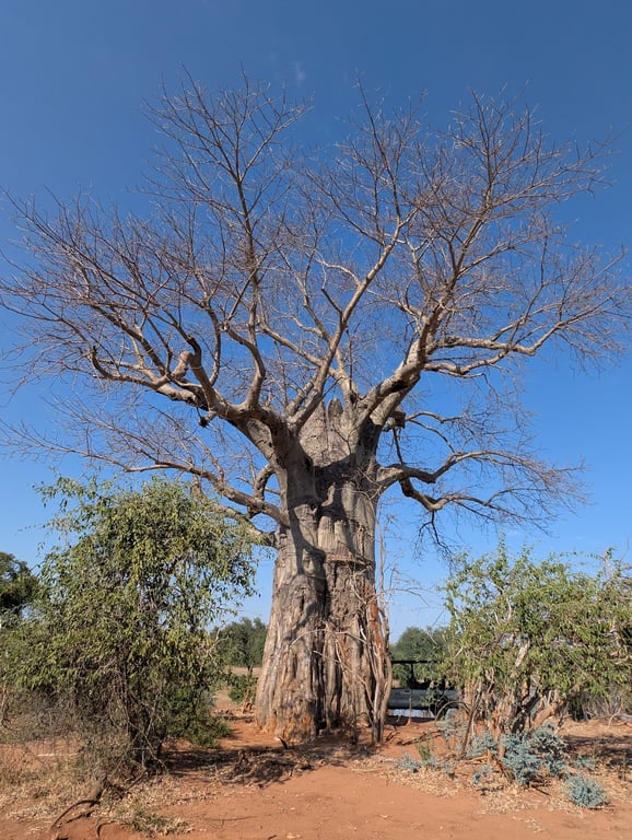 Lower Zambezi National Park