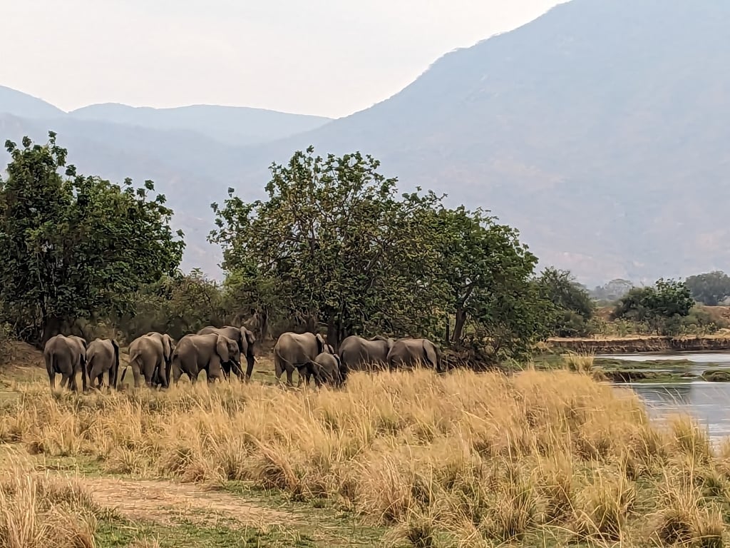 Lower Zambezi National Park