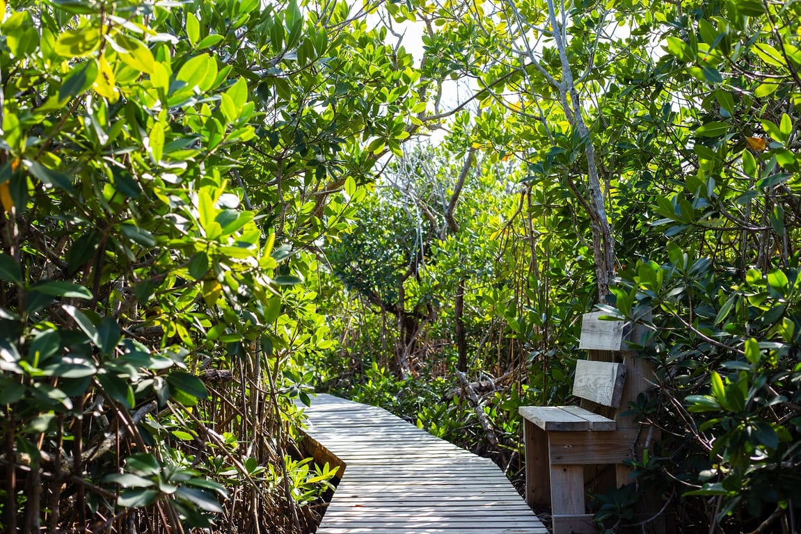 Lucayan National Park
