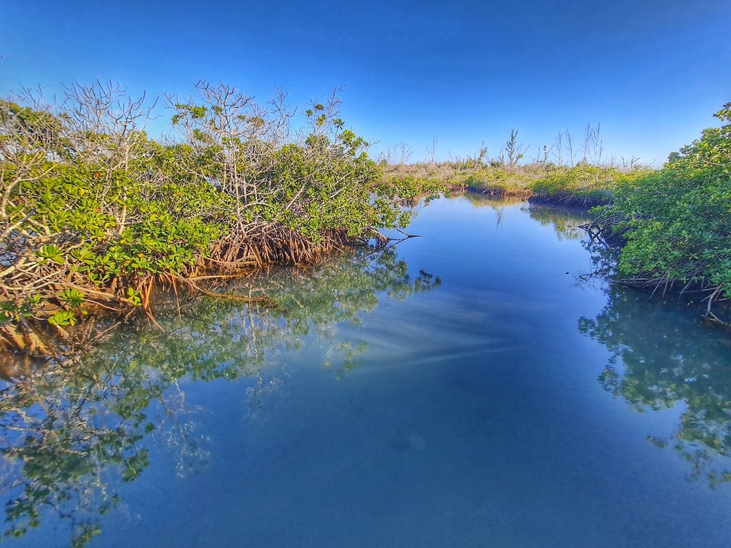 Lucayan National Park