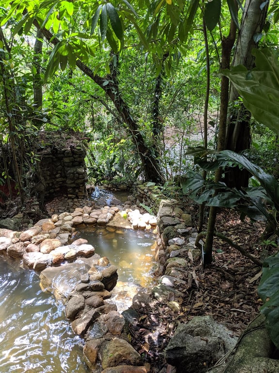 Luna Jaguar Hot Springs