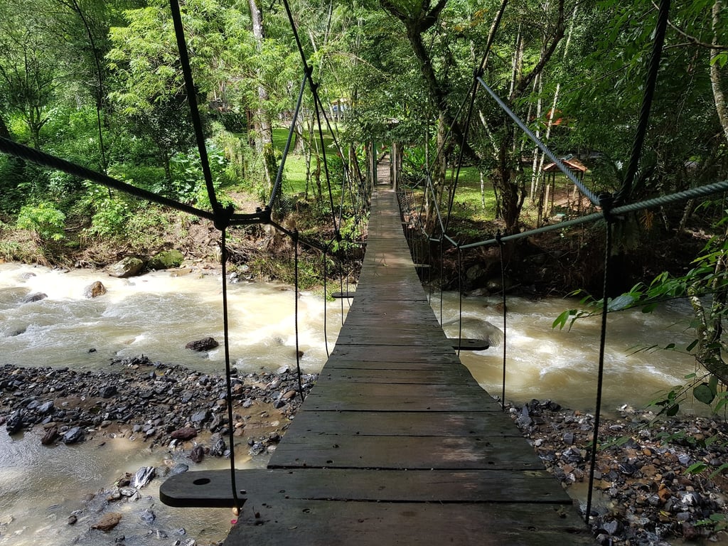 Luna Jaguar Hot Springs