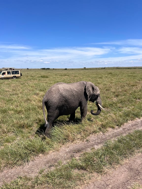 Maasai Mara National Reserve