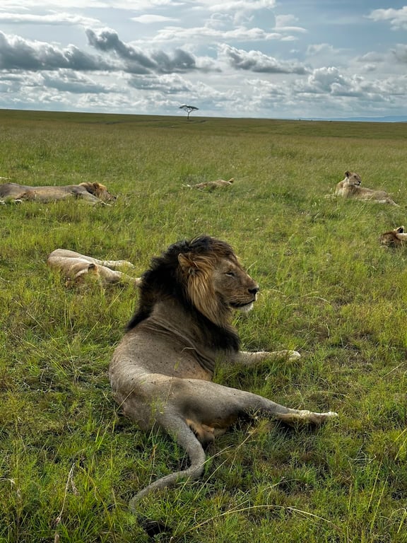 Maasai Mara National Reserve