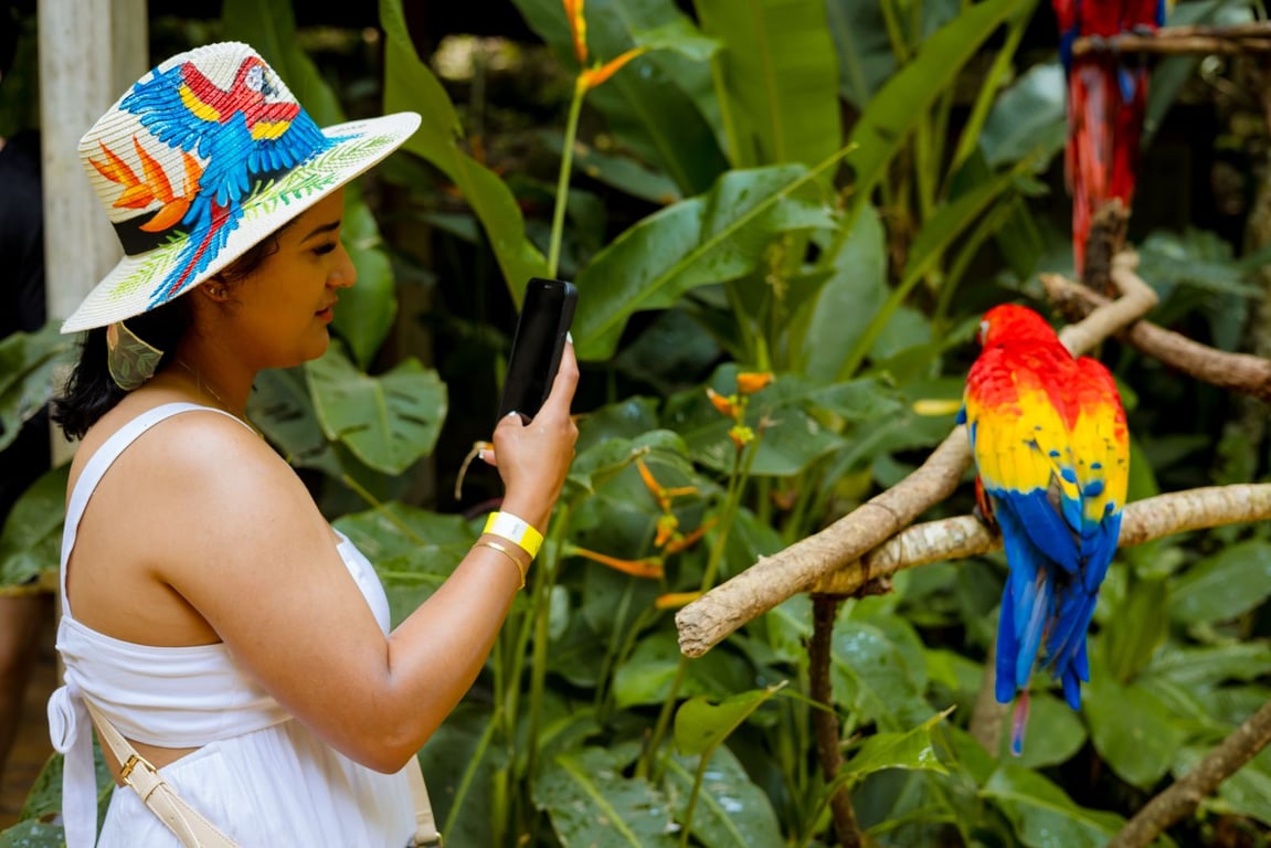 Macaw Mountain Park