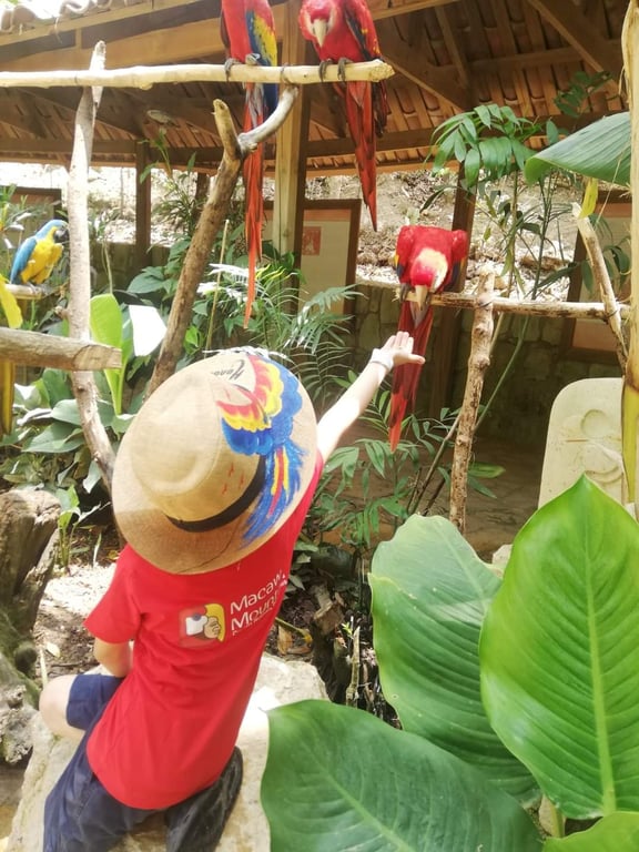 Macaw Mountain Park