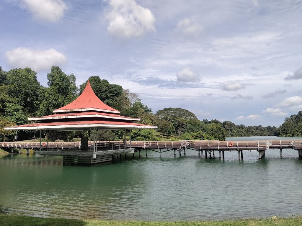 MacRitchie Reservoir Park