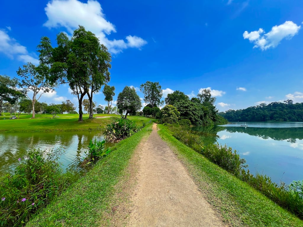 MacRitchie Reservoir Park