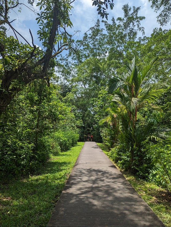 MacRitchie Reservoir Park