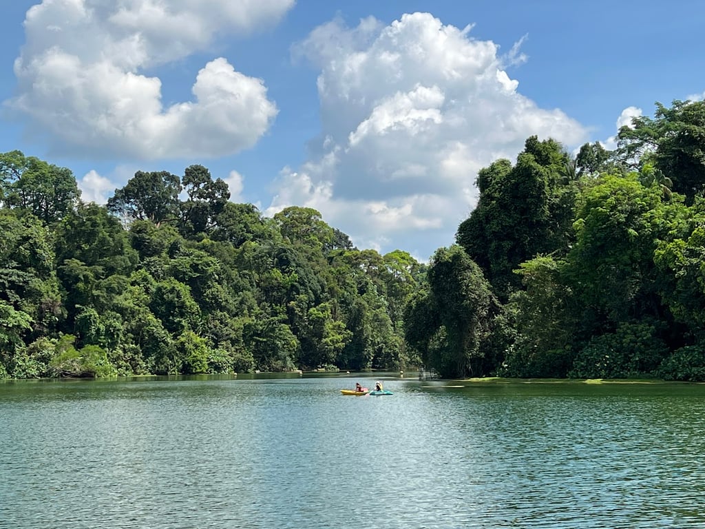 MacRitchie Reservoir Park