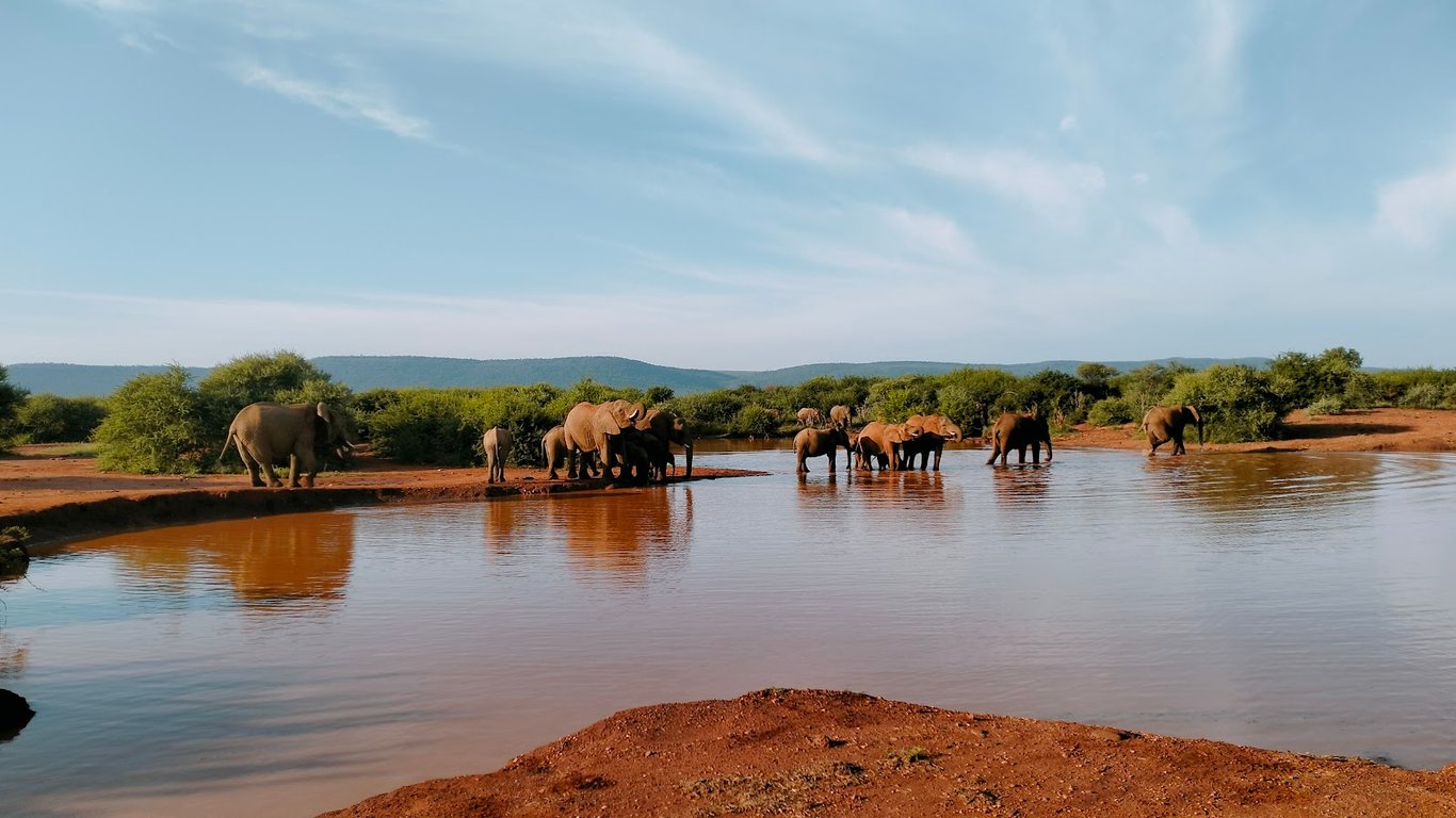 Madikwe Game Reserve