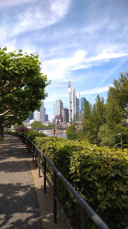 Main River Skyline View