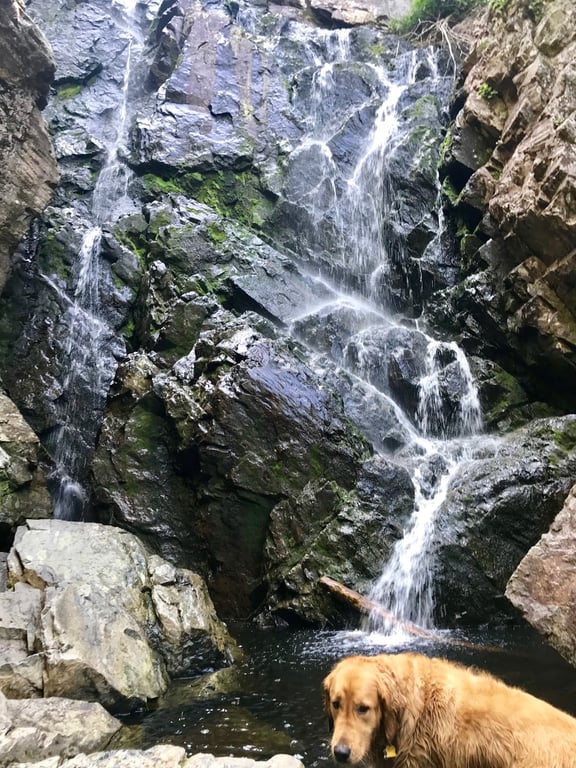 Angel Falls