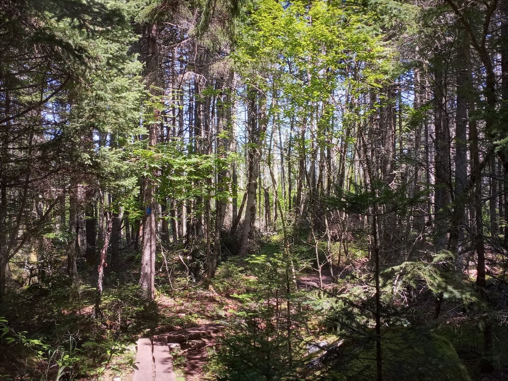 Cutler Coast Public Reserved Land