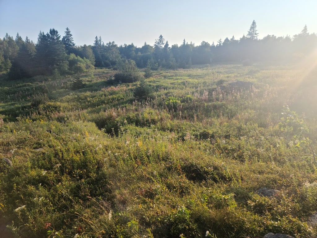 Cutler Coast Public Reserved Land