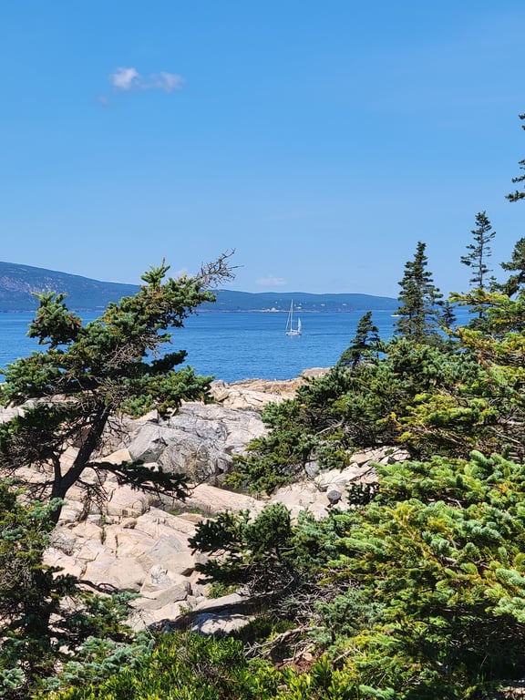 Schoodic Point