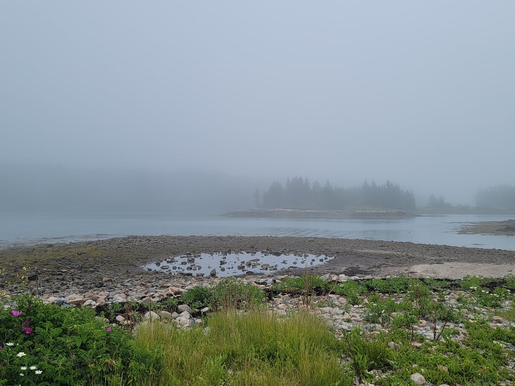 Schoodic Point