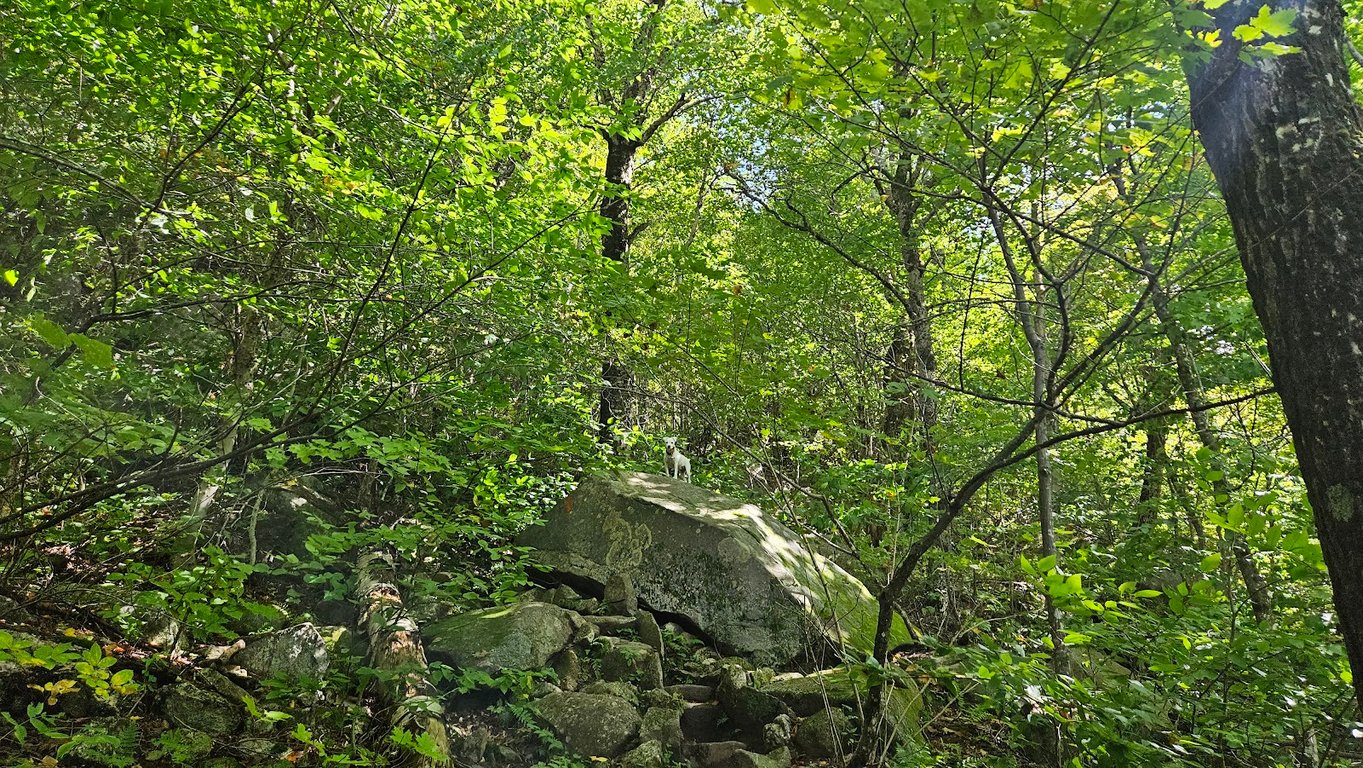 Table Rock