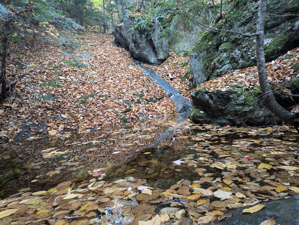 Table Rock
