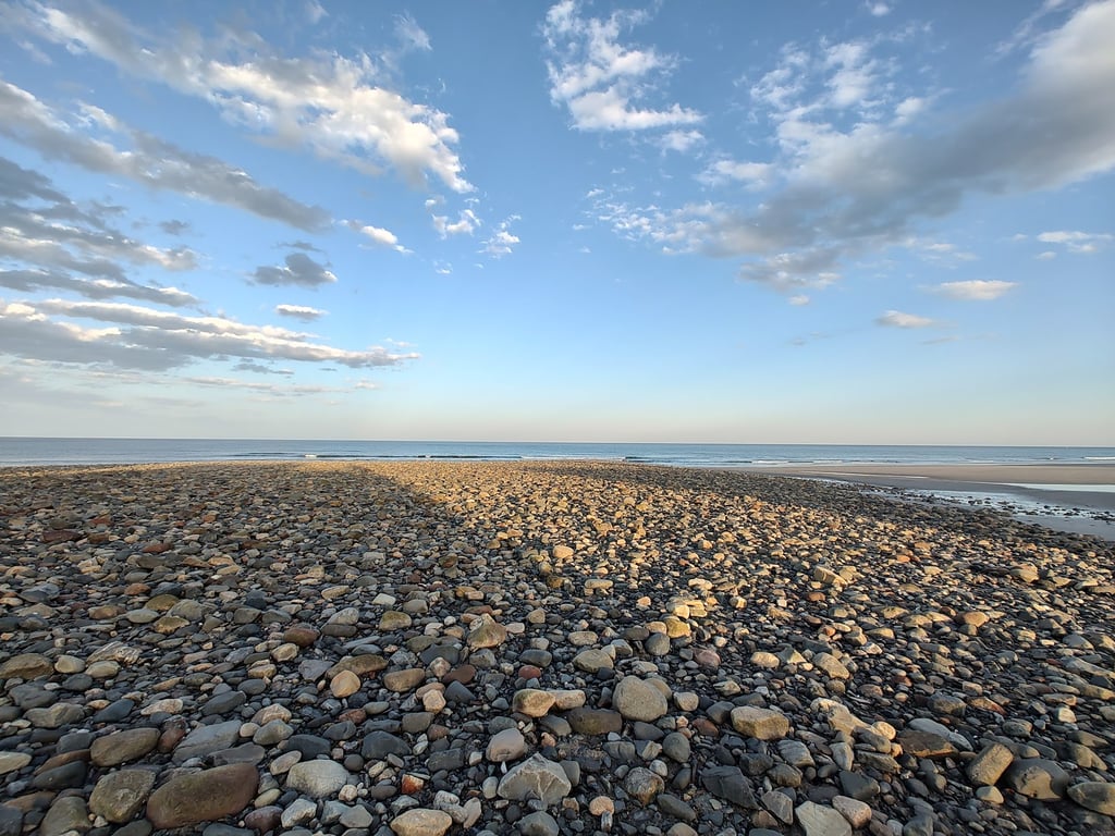 Wells Reserve at Laudholm