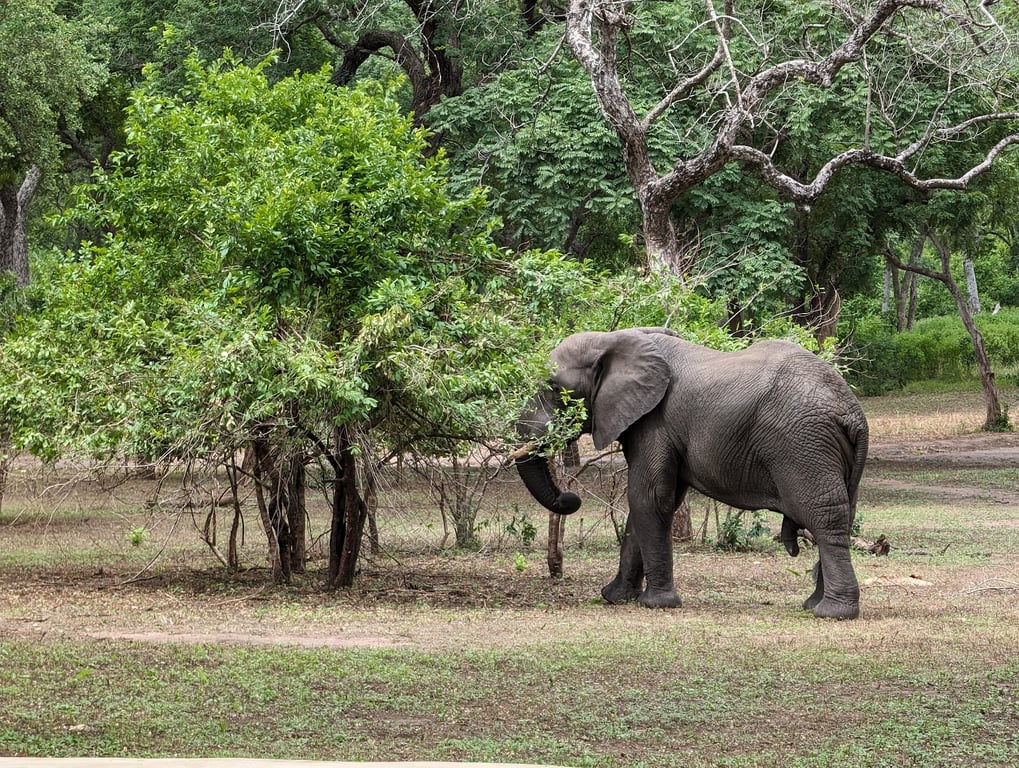 Majete Wildlife Reserve