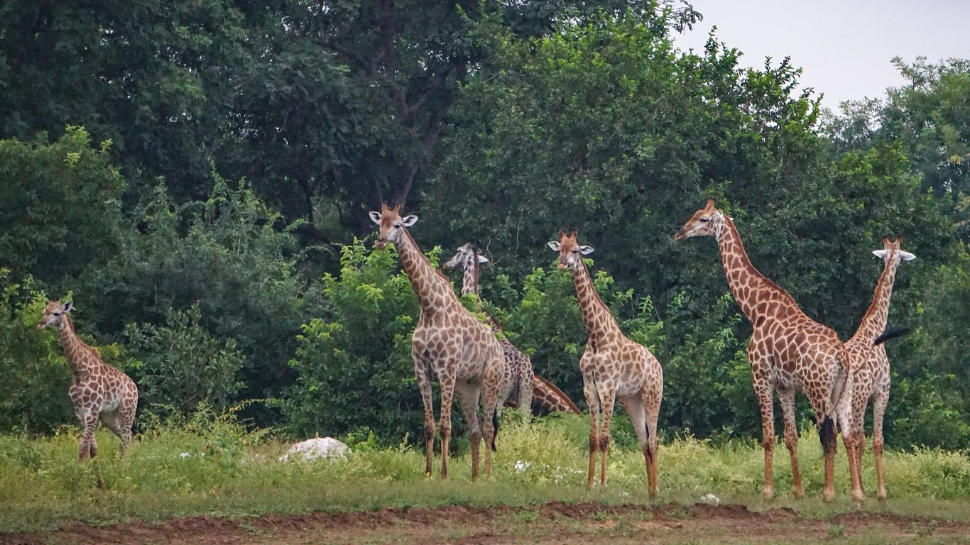Majete Wildlife Reserve