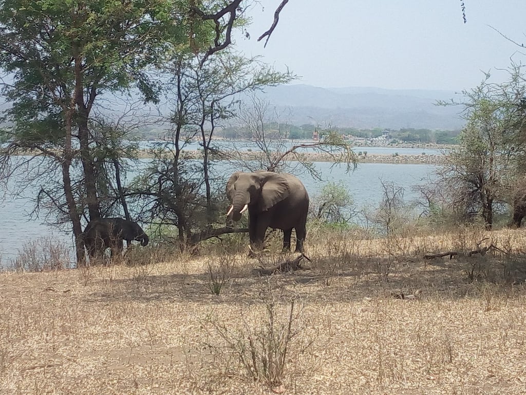 Majete Wildlife Reserve
