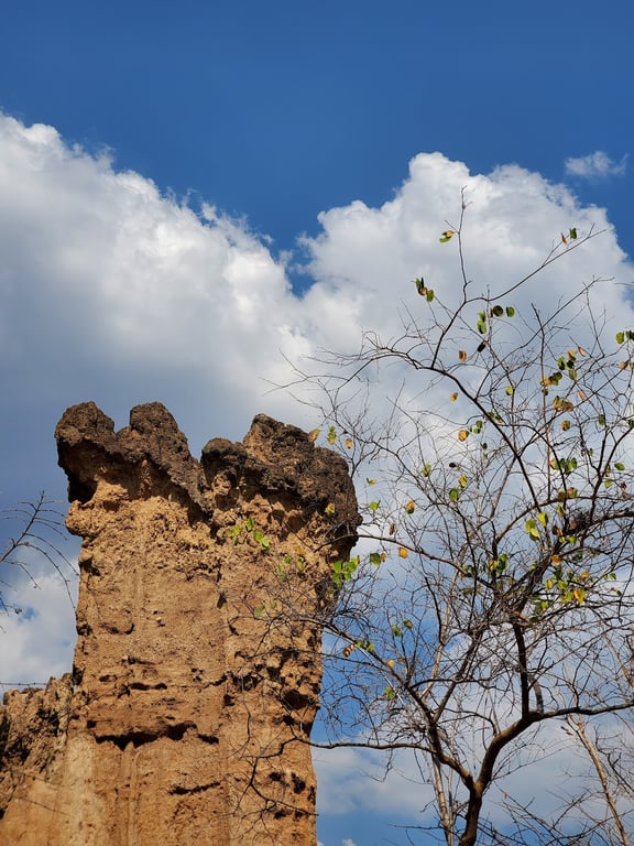 Malape Sandstone Pillars