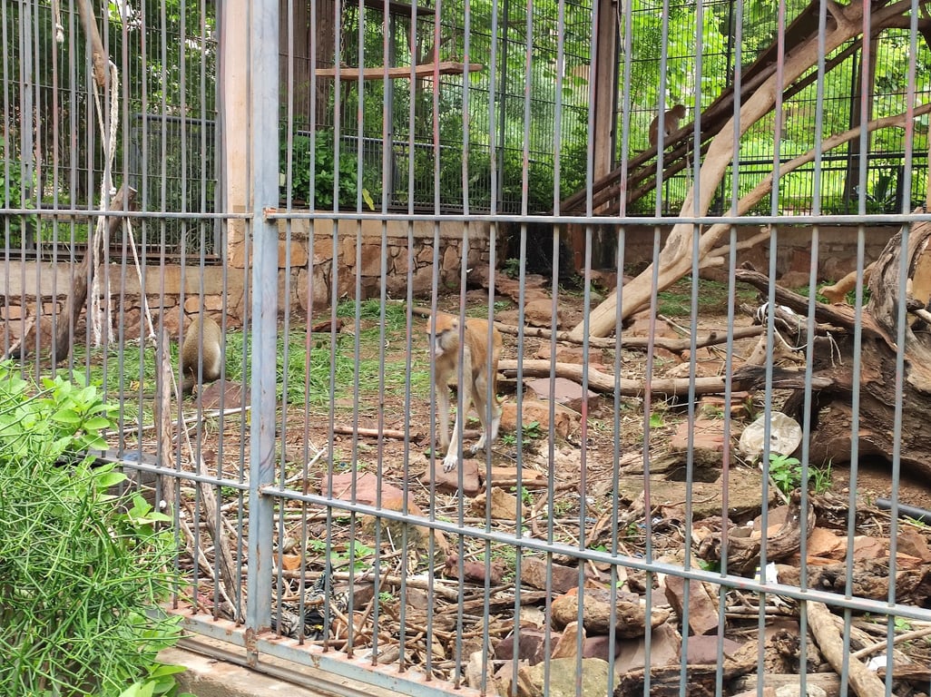 Mali National Zoo