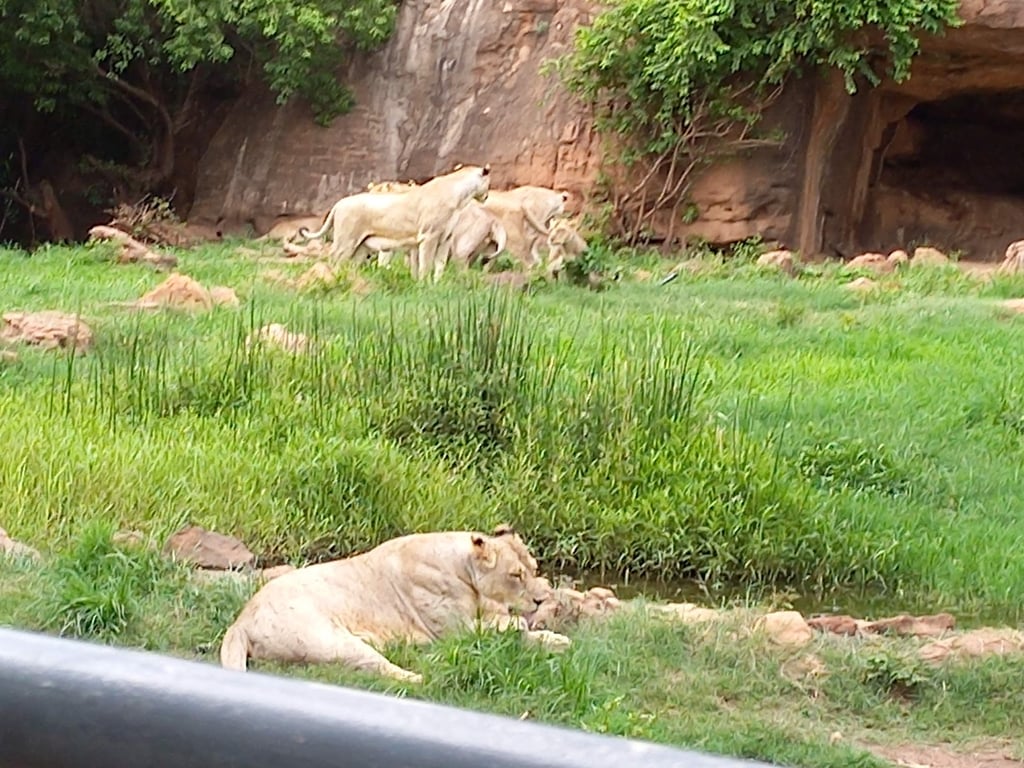 Mali National Zoo