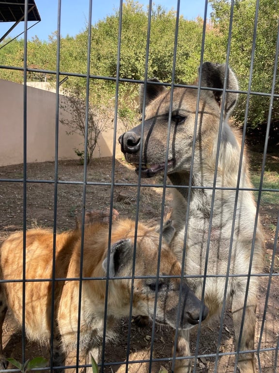 Mali National Zoo