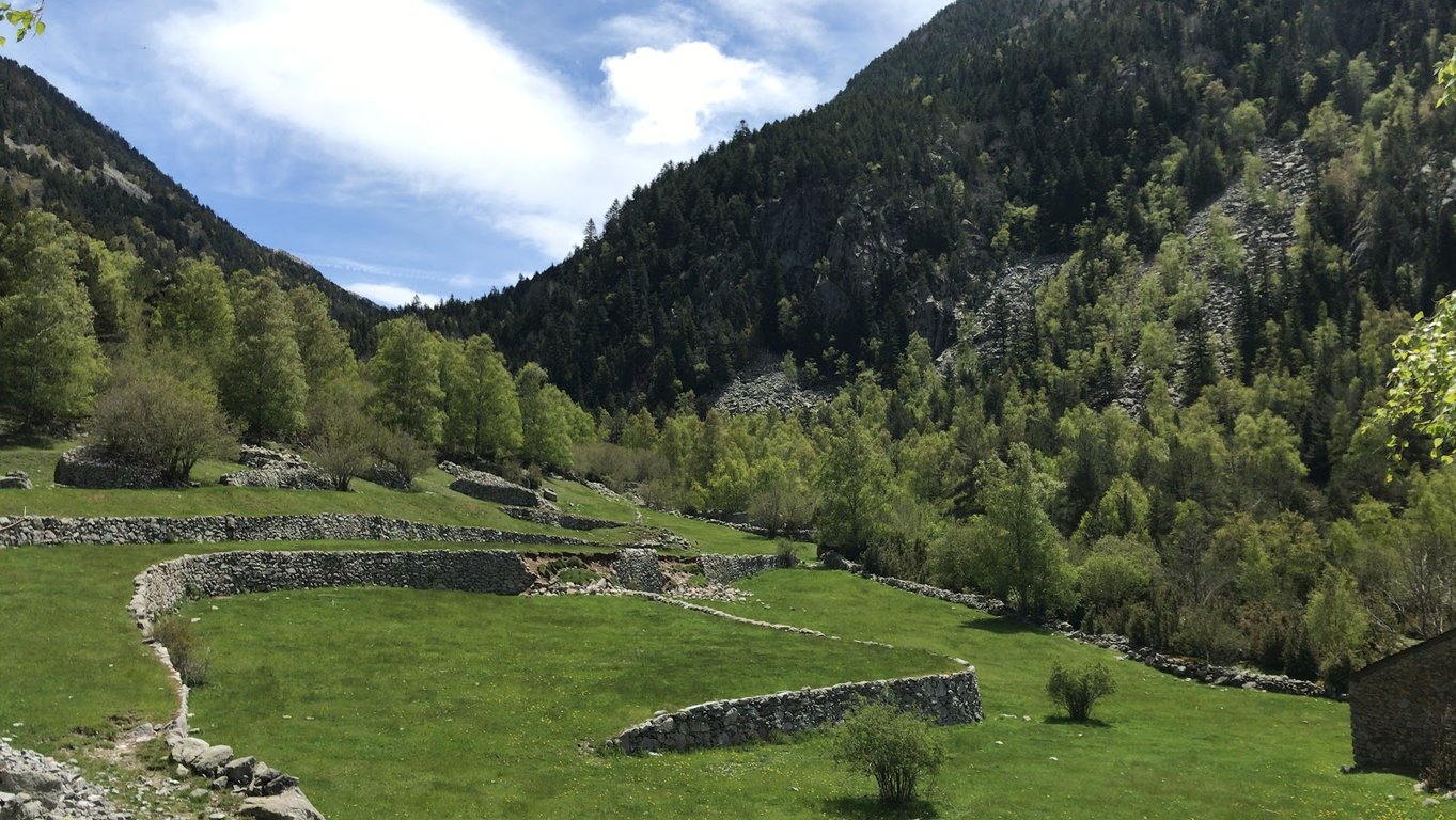 Mallador del Dret