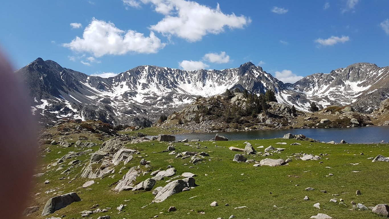 Mallador del Dret