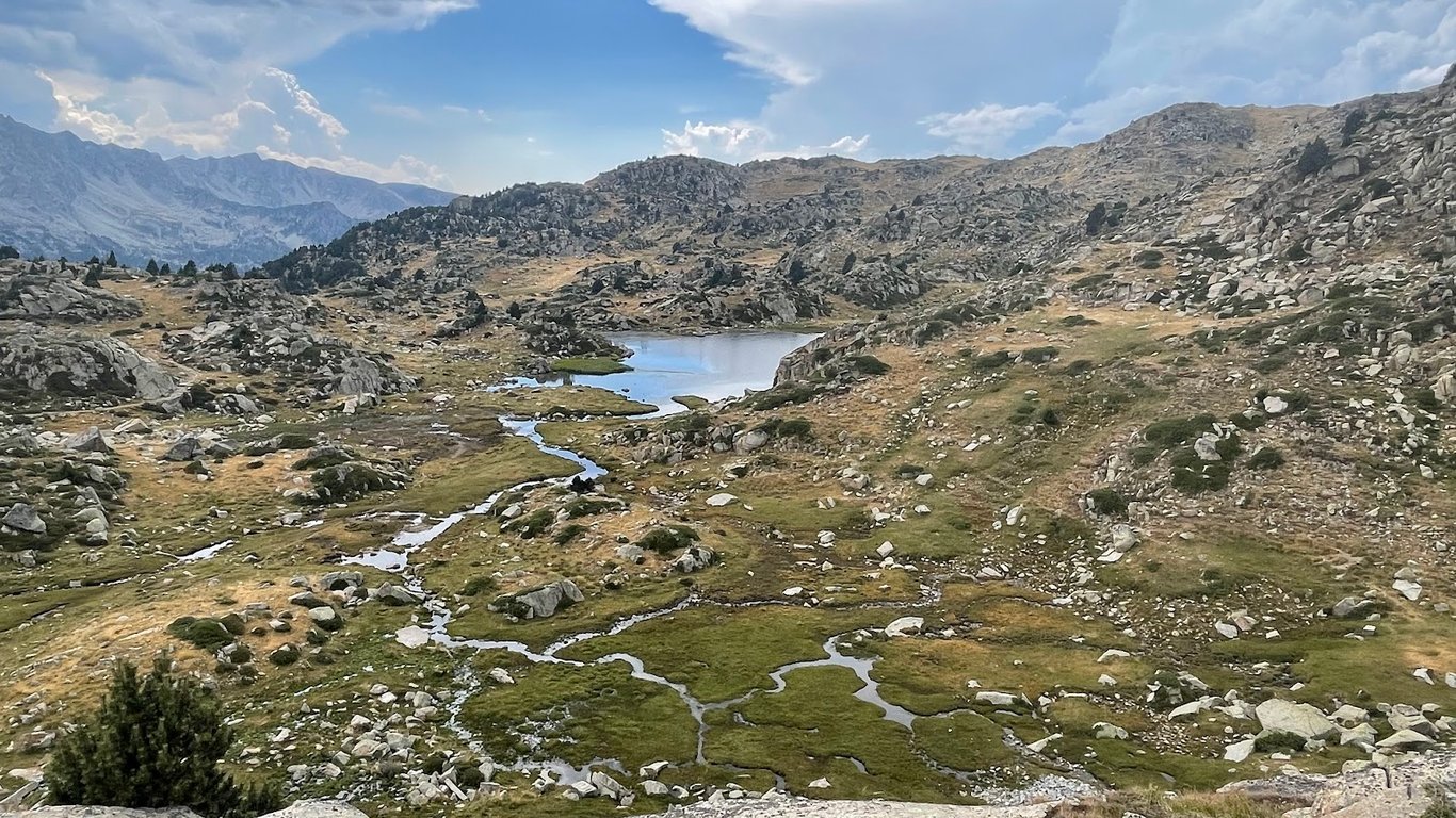 Mallador del Dret